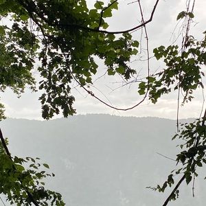 Meet your Posher, Easton